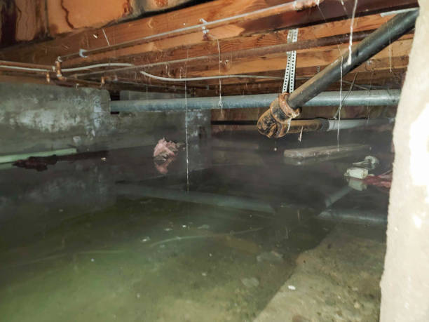 Best Emergency water damage restoration  in Cheswick, PA