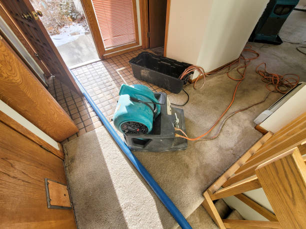 Best Ceiling water damage repair  in Cheswick, PA