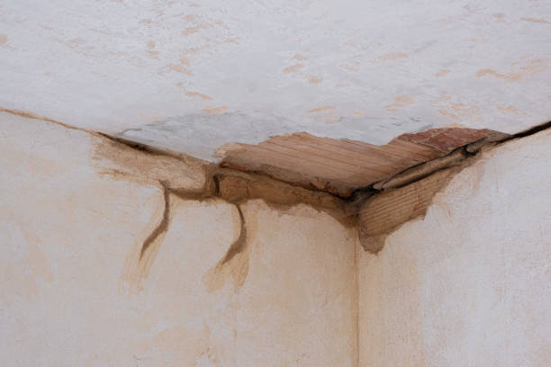 Best Basement water damage restoration  in Cheswick, PA