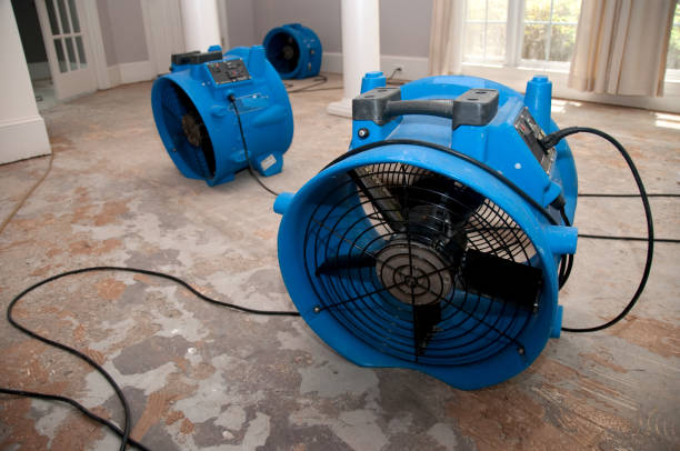 Best Fire Damage Restoration  in Cheswick, PA