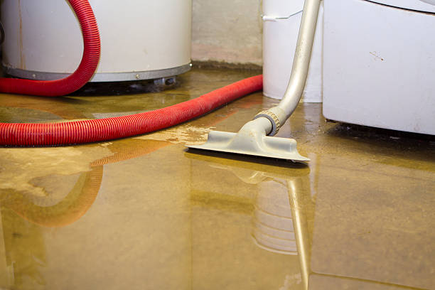 Reliable Cheswick, PA Water damage restoration Solutions