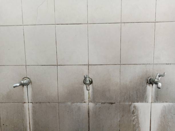 Best Water damage restoration services  in Cheswick, PA