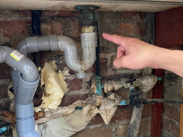 Best Mold removal after water damage  in Cheswick, PA