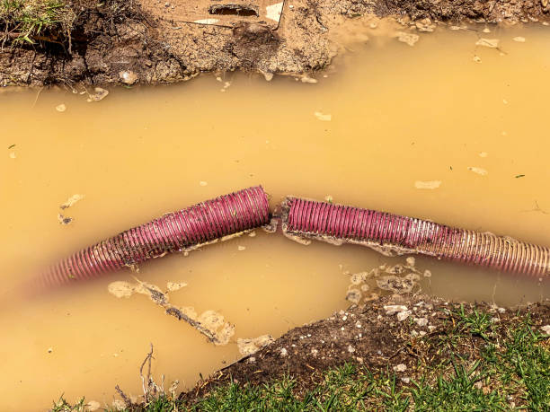 Best Sewage cleanup and water damage restoration  in Cheswick, PA