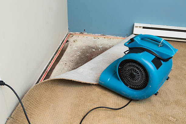 Best Water damage repair service  in Cheswick, PA